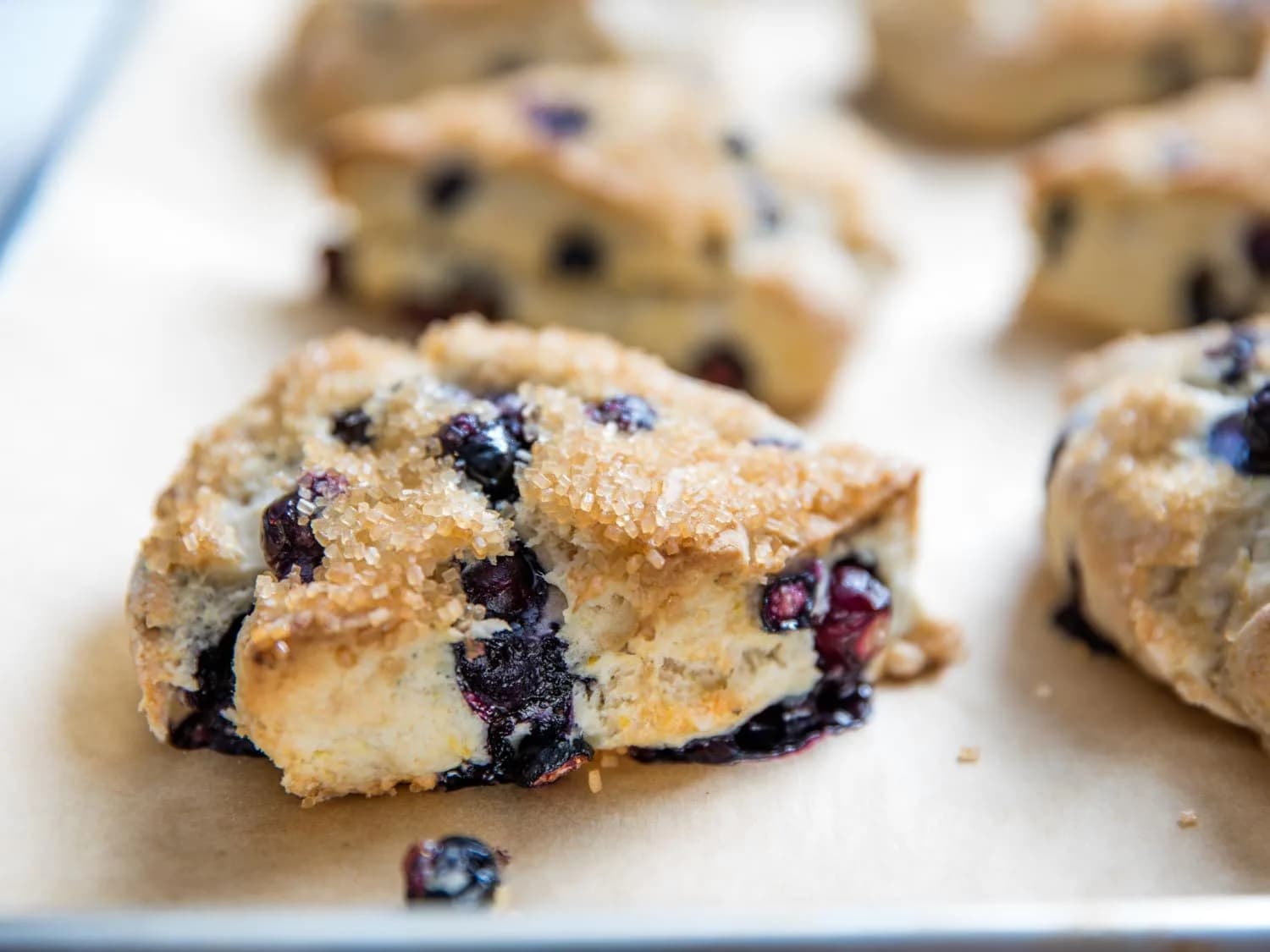 Image of Blueberry-Lemon Scones recipe