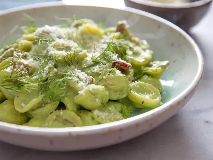 Image of Creamy Orecchiette With Spring Onions, Fennel, and Bacon recipe